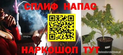 ECSTASY Заводоуковск