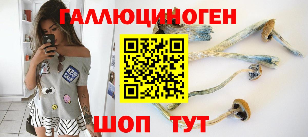 Псилоцибиновые грибы мицелий Краснознаменск